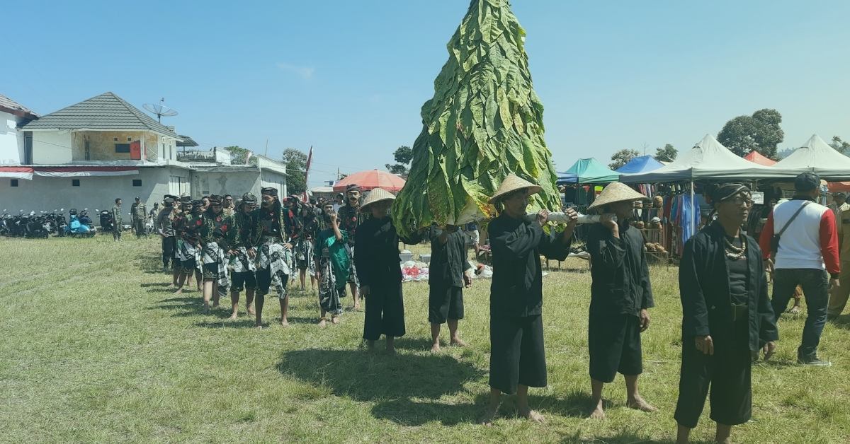 Tradisi Wiwit Tembakau di Boyolali