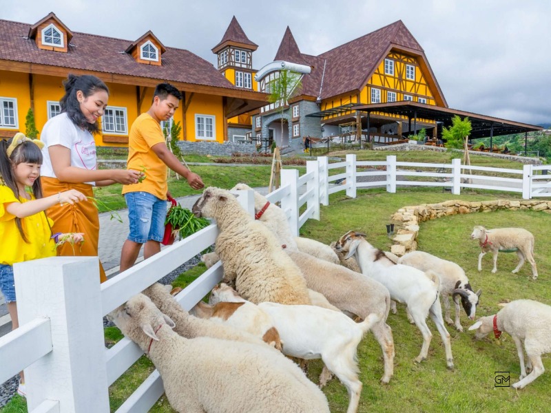 farm petting zoo